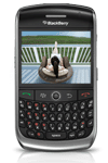 Blackberry Curve 8900